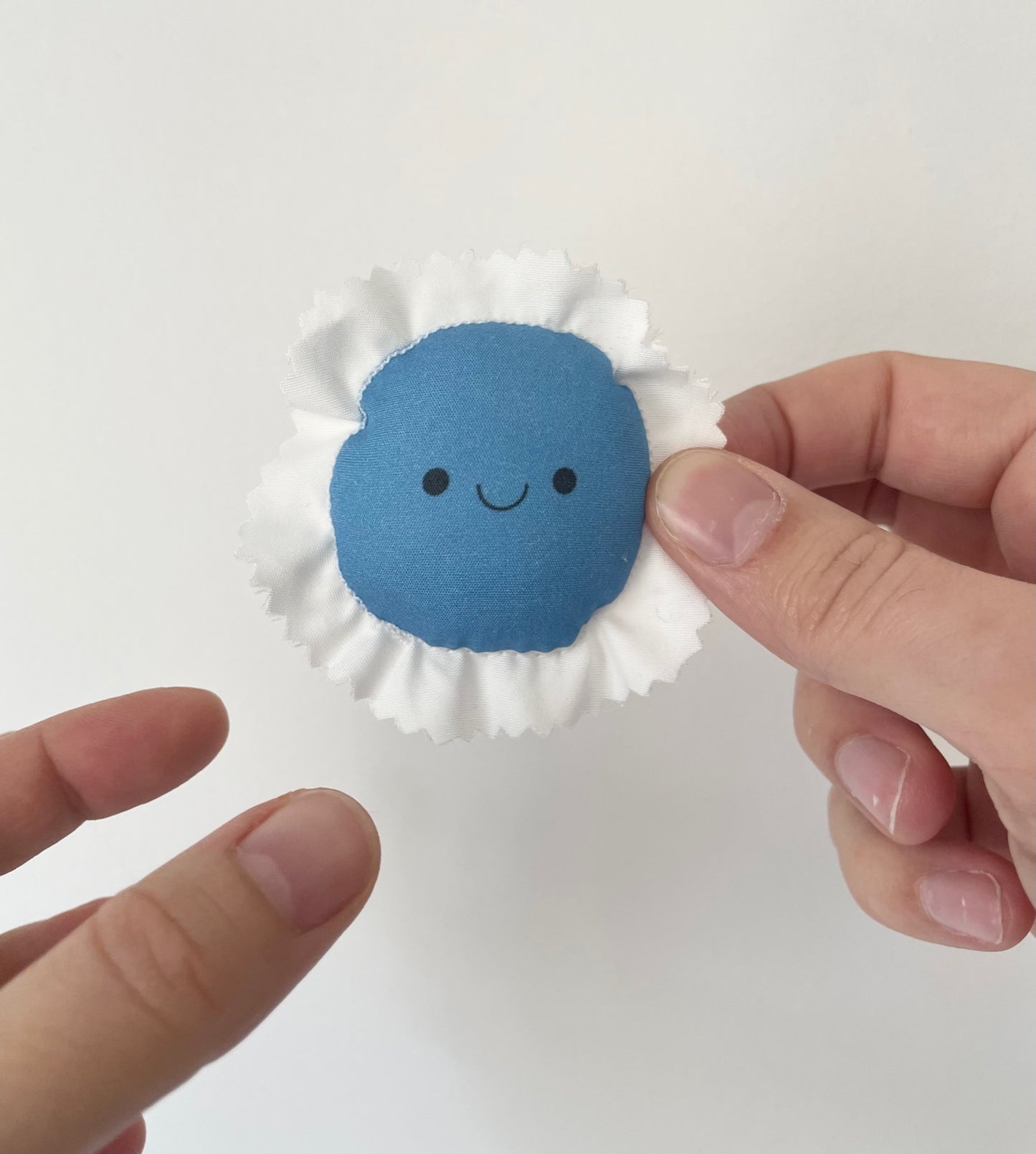 Blue guili-guili ravioli